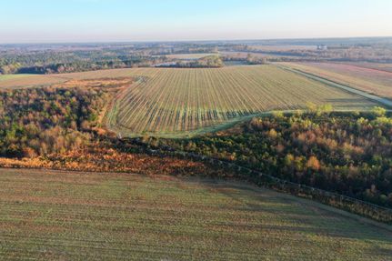 Timberland Property in Tift County, Georgia