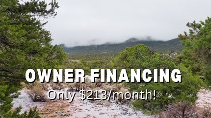 Undeveloped Land in Costilla County, Colorado