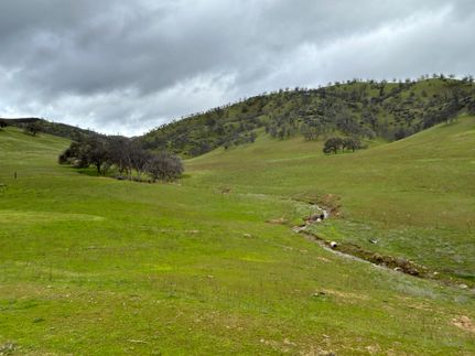 Farm and Ranch in Colusa County, California