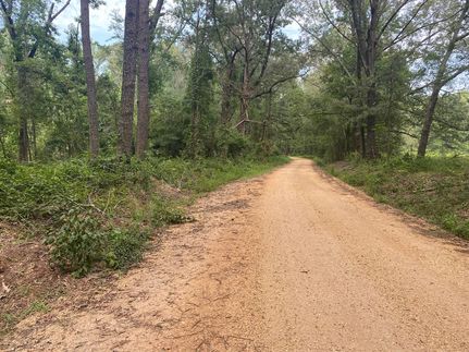 Undeveloped Land in Cleveland County, Arkansas