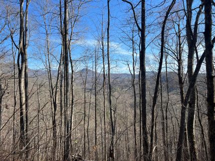 Land for sale in Jackson County, North Carolina