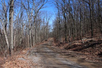 Farm and Ranch in Frederick County, Virginia