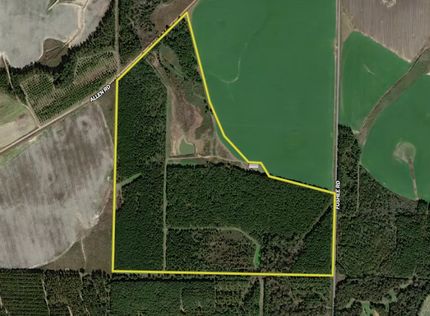 Recreational Property in Dooly County, Georgia