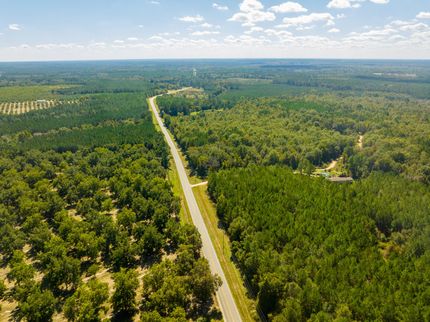 Undeveloped Land in Dodge County, Georgia