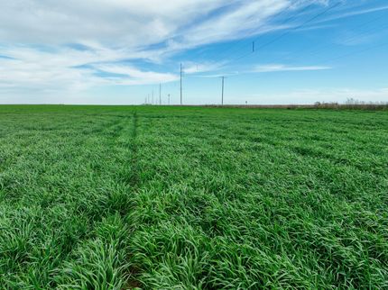 Farm and Ranch in Knox County, Texas