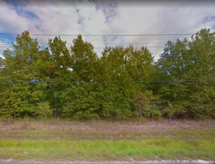 Undeveloped Land in Polk County, Texas