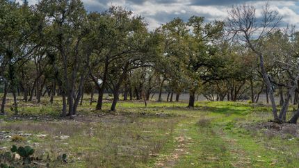 Undeveloped Land for sale in Blanco County, Texas