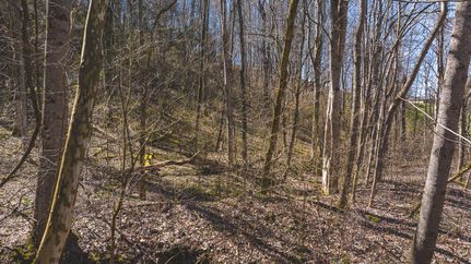 Land in Grainger County, Tennessee