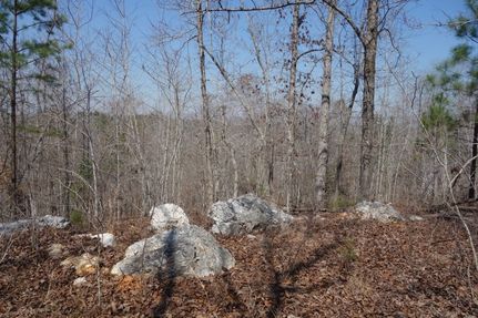 Undeveloped Land in Kershaw County, South Carolina