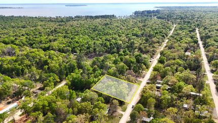 Timberland Property in Polk County, Texas