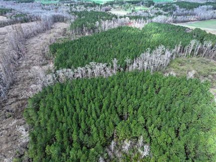Hunting Property in Robeson County, North Carolina