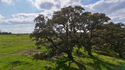 Farm and Ranch in Lavaca County, Texas