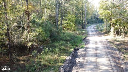 Timberland Property in Orangeburg County, South Carolina