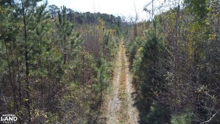 Land in Williamsburg County, South Carolina