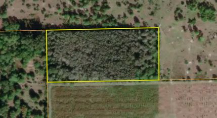 Farm and Ranch in Lee County, Florida