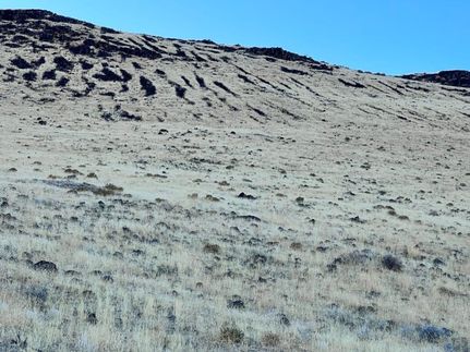 Land in Humboldt County, Nevada