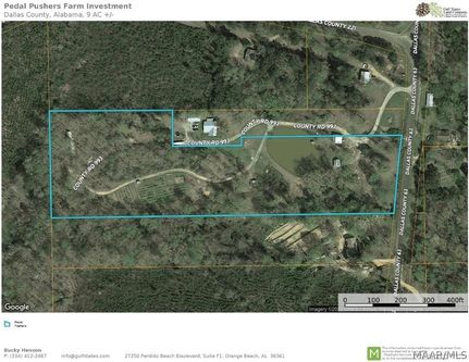 Commercial Property in Dallas County, Alabama