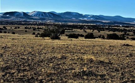 Undeveloped Land in Apache County, Arizona