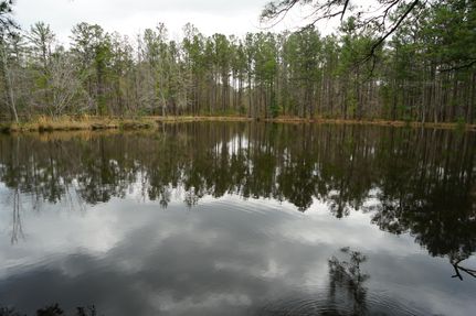 Farm and Ranch in Butler County, Alabama