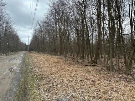 Hunting Property in Clearfield County, Pennsylvania