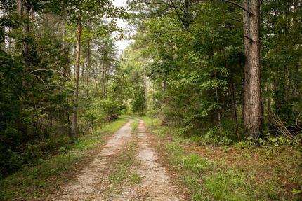Recreational Property in Lawrence County, Alabama