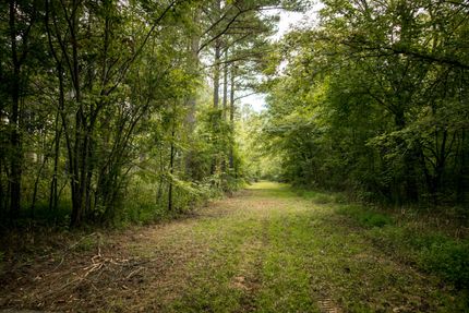 Hunting Property in Lawrence County, Alabama