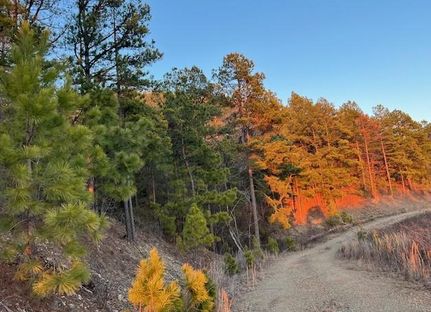 Timberland Property in McCurtain County, Oklahoma