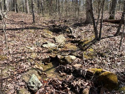Recreational Property in Van Buren County, Arkansas