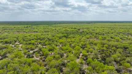 Hunting Property in Zavala County, Texas