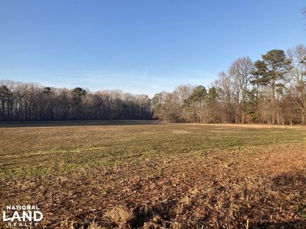 Farm and Ranch in Union County, North Carolina