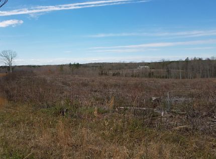 Undeveloped Land in Mecklenburg County, Virginia