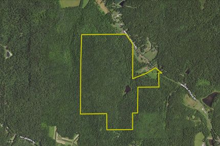 Timberland Property in Greene County, Indiana