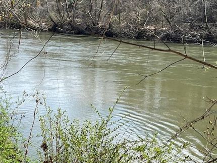 Timberland Property in Surry County, North Carolina