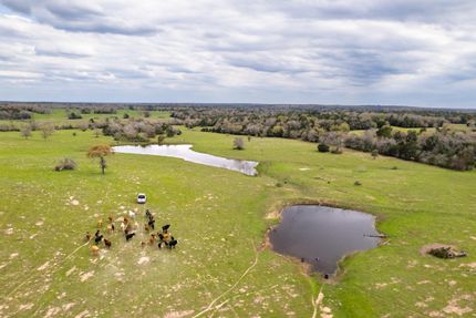 Undeveloped Land in Bastrop County, Texas