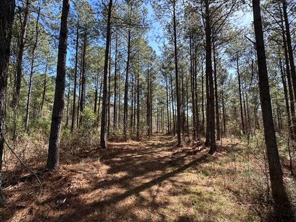 Recreational Property for sale in Newton County, Georgia