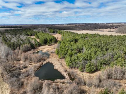 Timberland Property in Pierce County, Wisconsin