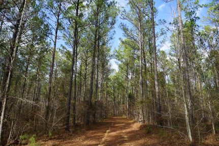 Farm and Ranch in Monroe County, Alabama