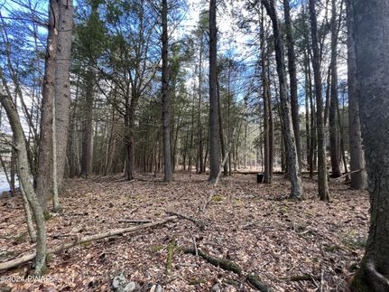 Land for sale in Pike County, Pennsylvania