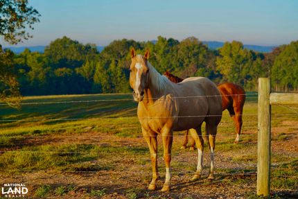 Farm and Ranch in Shelby County, Alabama