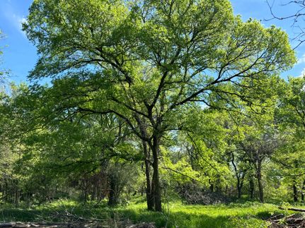 Land in McLennan County, Texas