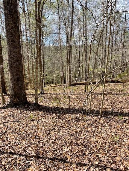 Recreational Property in Butler County, Alabama
