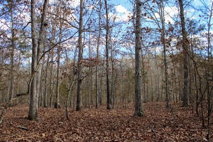 Land in Shannon County, Missouri