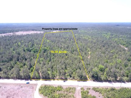 Farm and Ranch in Tyler County, Texas