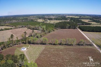 Undeveloped Land in Hampton County, South Carolina