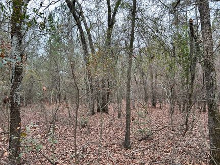 Farm and Ranch in Lexington County, South Carolina