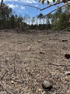 Farm and Ranch for sale in Rapides Parish, Louisiana