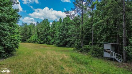 Recreational Property in Dallas County, Alabama