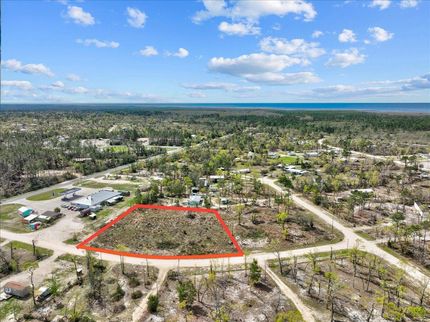 Farm and Ranch in Taylor County, Florida