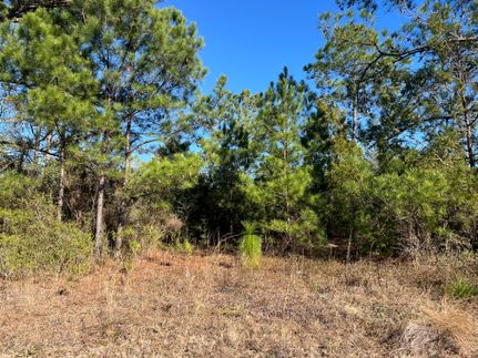 Recreational Property for sale in Jackson County, Florida