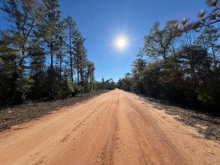 Farm and Ranch in Jackson County, Florida